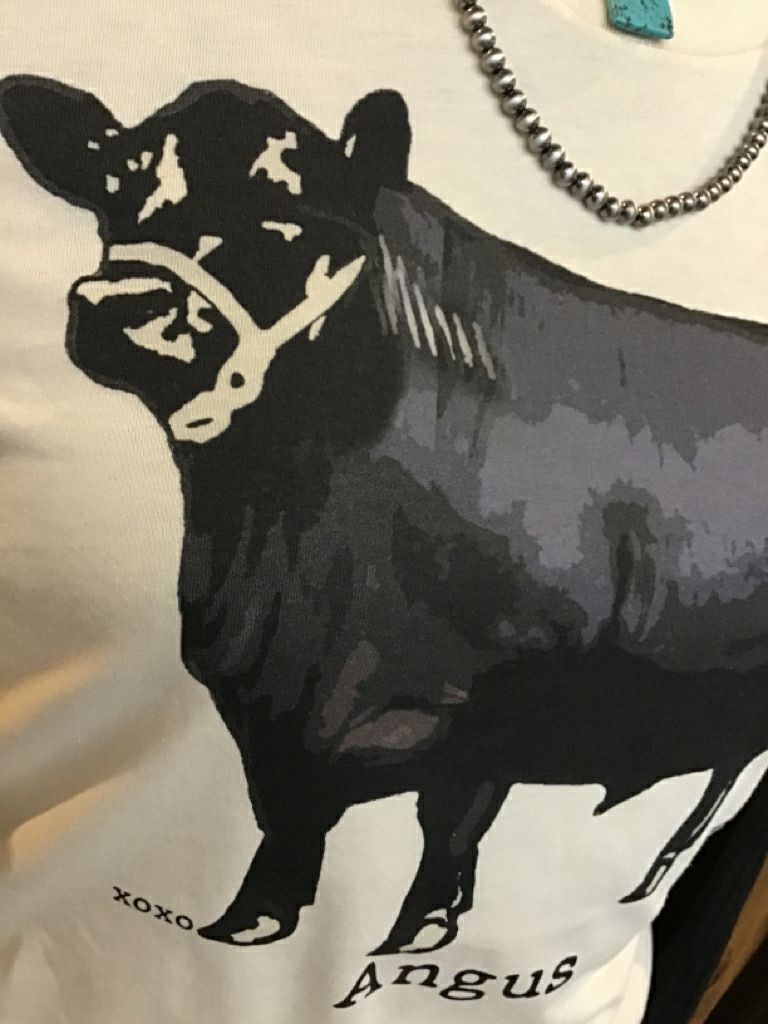 Black Angus Graphic T Shirt - XS to 2X - XOXO Art